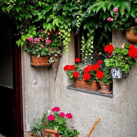 Inn Mandorfer *