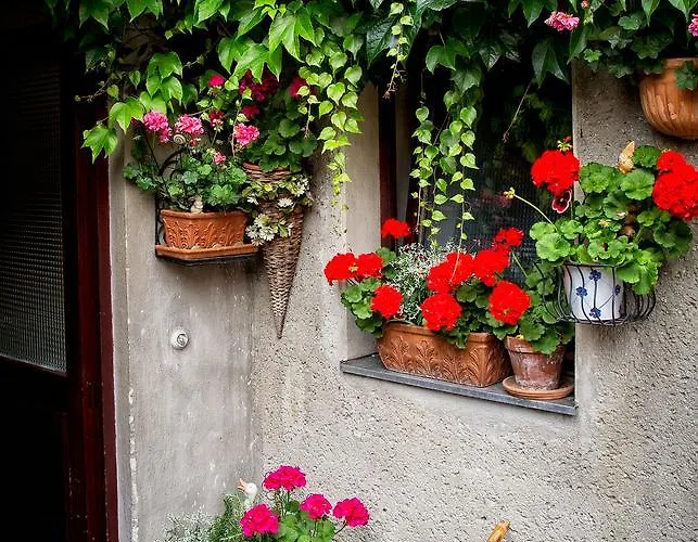 بيت ريفي Mandorfer *